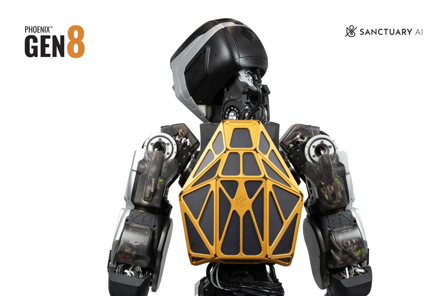 Sanctuary AI Phoenix — официальная визуализация, изображение 4