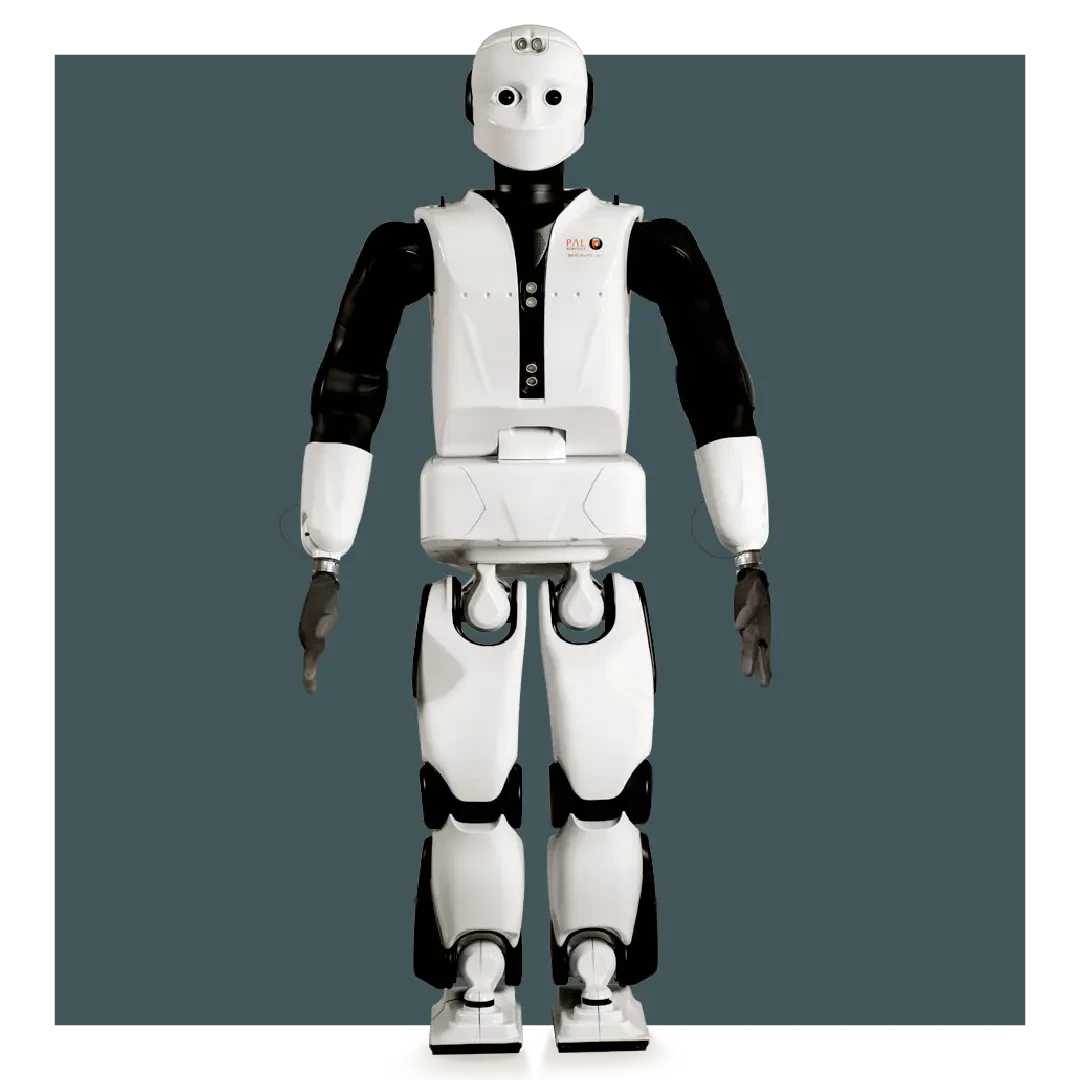 PAL Robotics REEM-C — официальное изображение, изображение 5